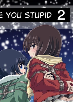 Baka na no…2 | Are you Stupid 2