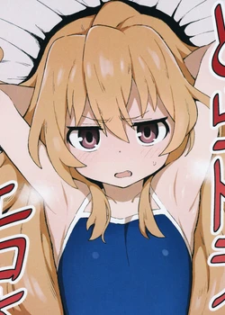 Toradora! no Erohon Toradora! Porn Book