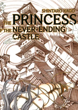 Princess of the Never Ending Castle